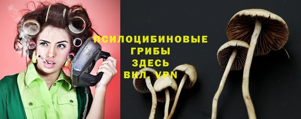 ALPHA-PVP Алексин