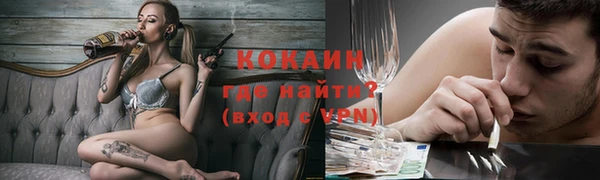 индика Алзамай