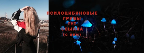ALPHA-PVP Алексин