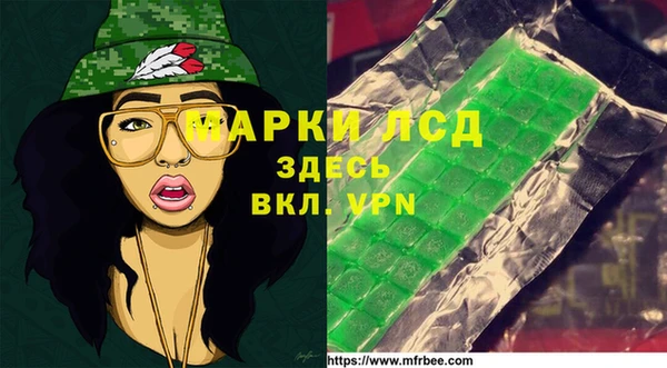 индика Алзамай