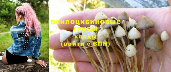 ALPHA-PVP Алексин