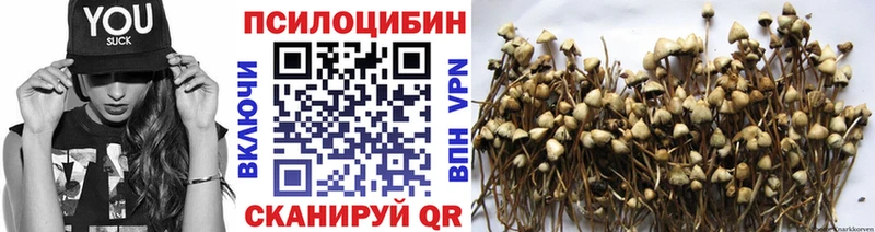 Псилоцибиновые грибы MAGIC MUSHROOMS  наркотики  hydra ONION  Фатеж 